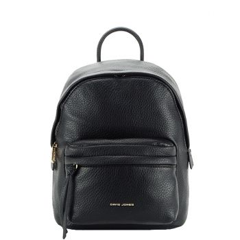 Rucsac casual cu pandantiv B-CM6765 18 Negru